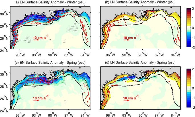 NGI Researchers Study ENSO-Induced Co-Variability of Salinity, Plankton Biomass and Coastal Currents in the Northern Gulf of Mexico