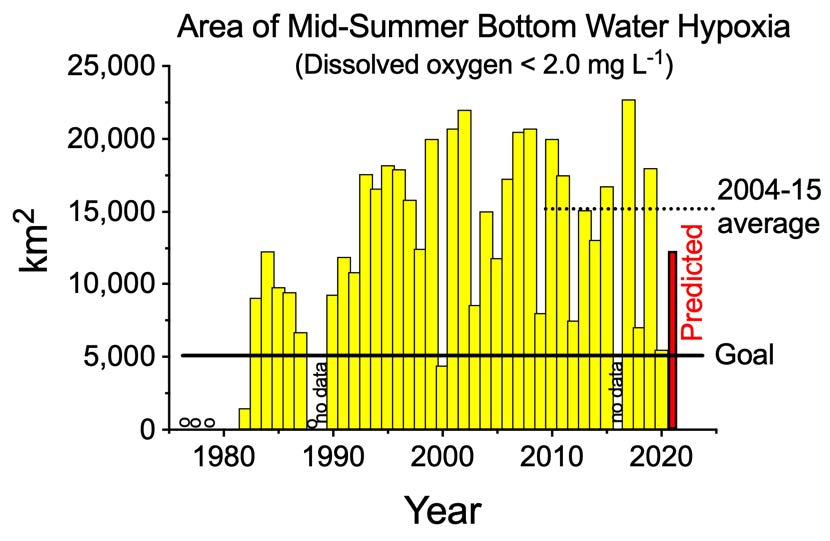 area of mid-summer bottom water hypoxia
