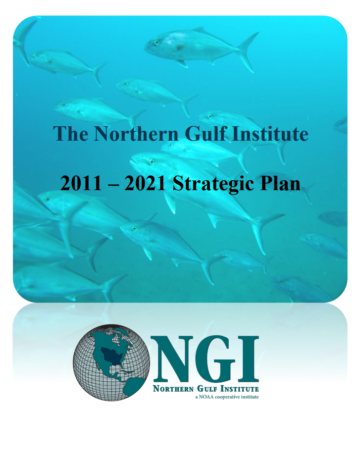 2011-2021_strategicPlan.png