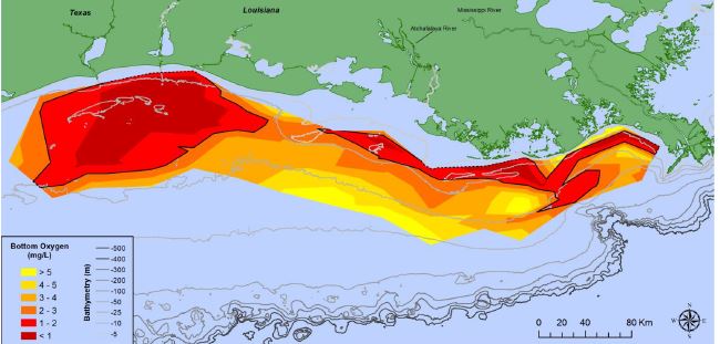 Oxygen concentrations in bottom water