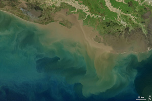coastal sound showing sediment runoff into the sound