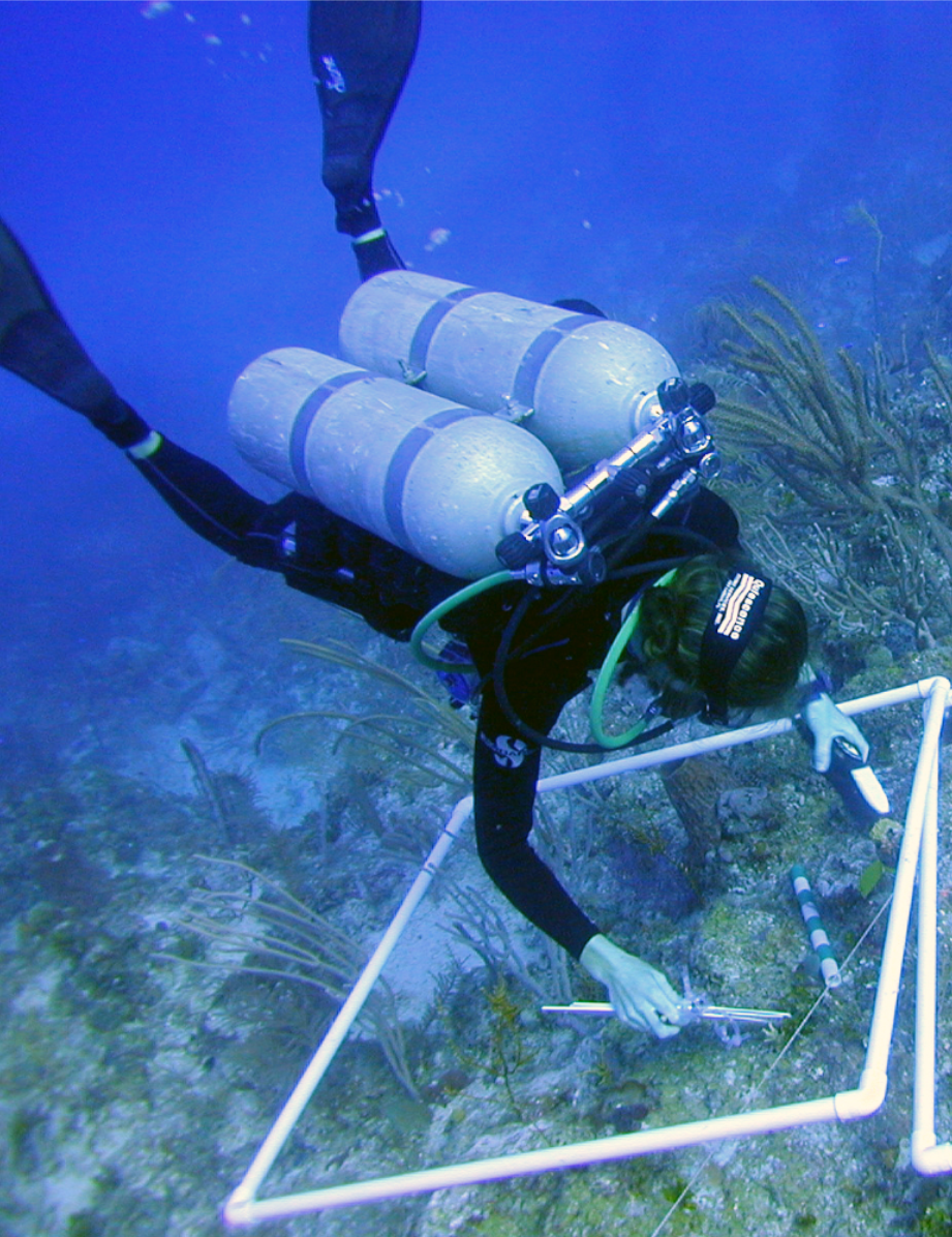 Scientific Diver Photo