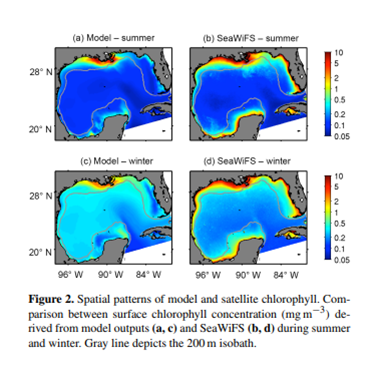 Spatial patterns of model and satellite chlorophyll