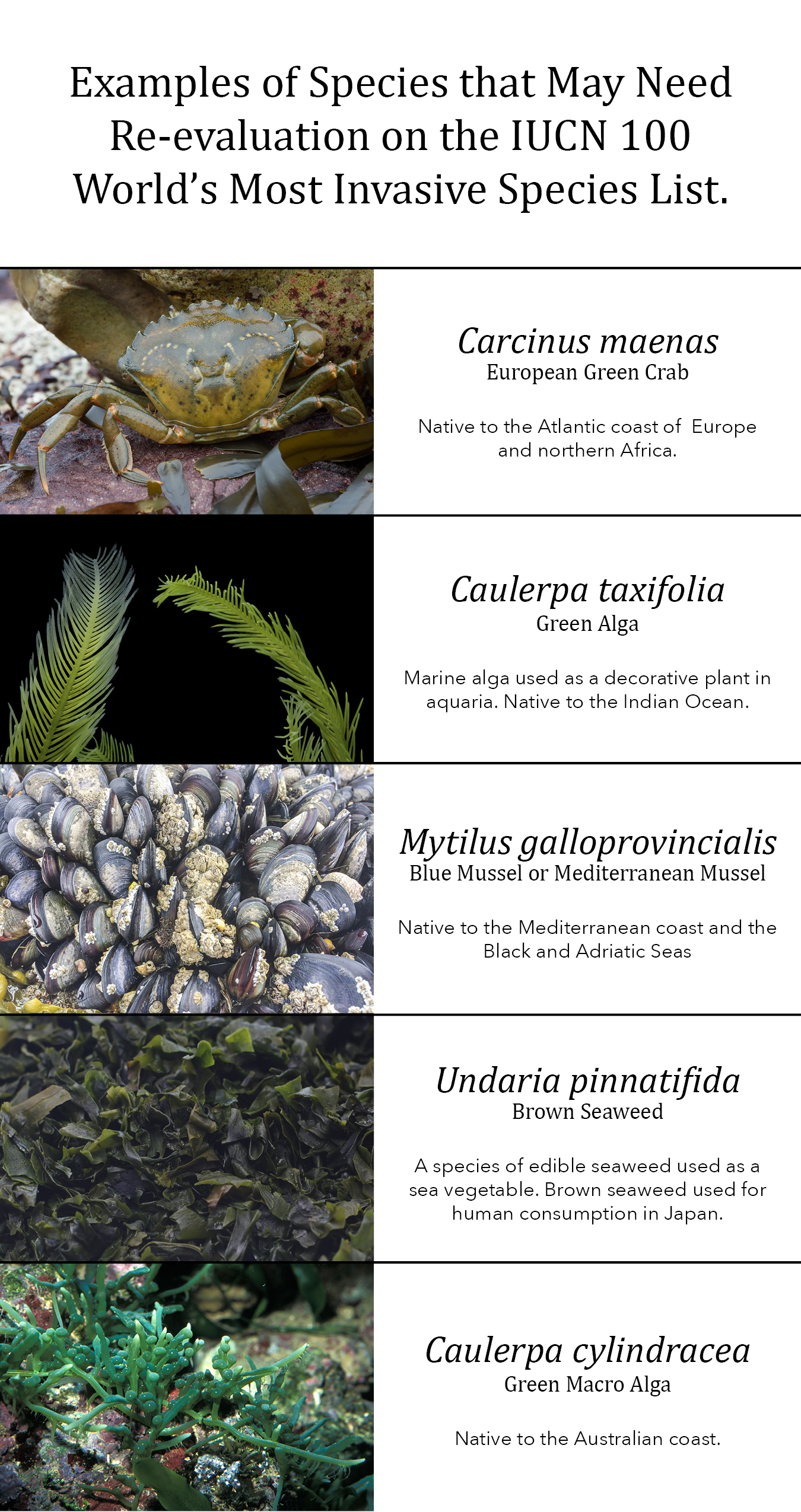 Exotic Species Graphic Exotic Species Graphic