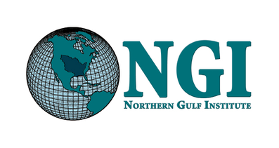 NGI Logo