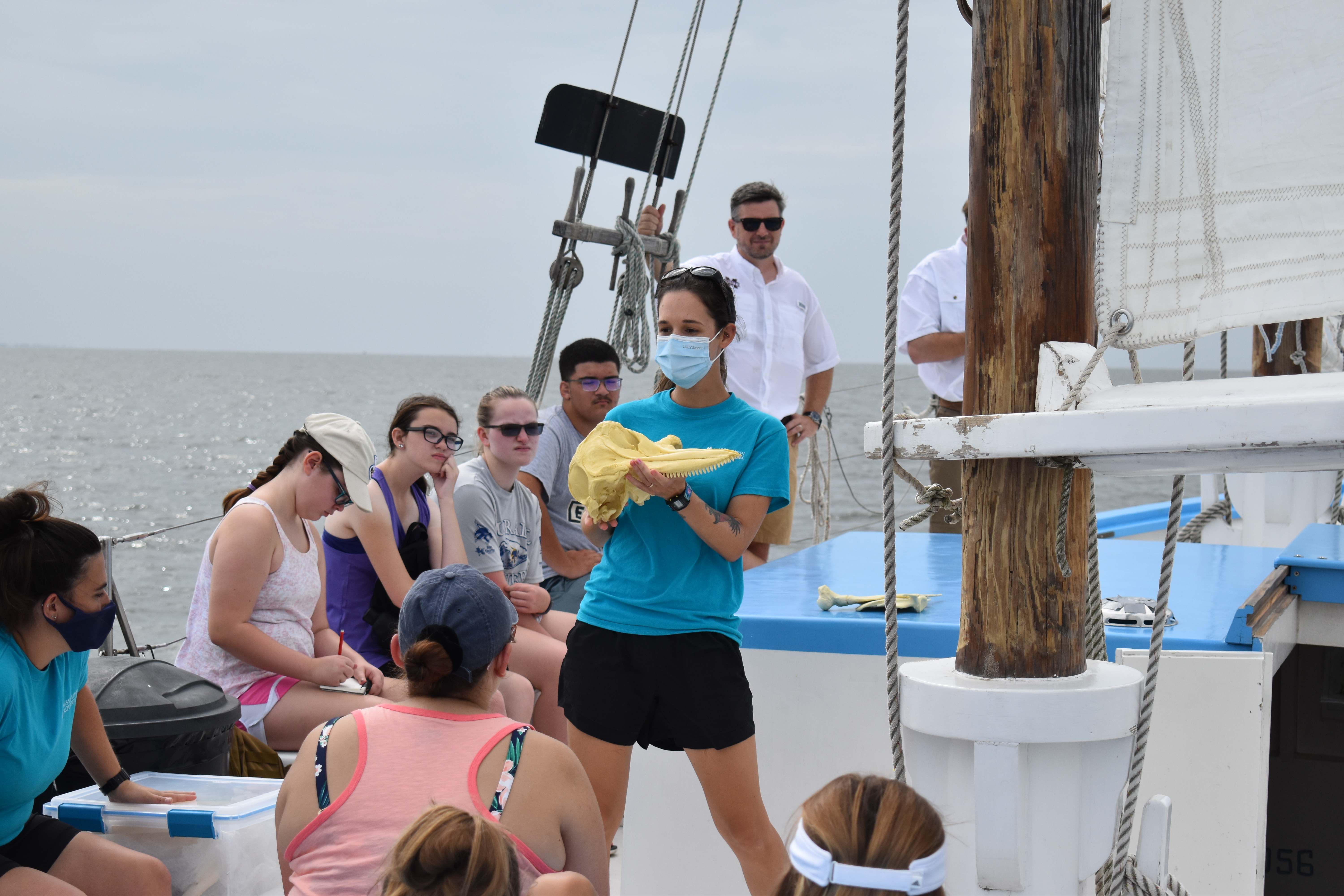 MarineMammal Specialist holding dolphin skull