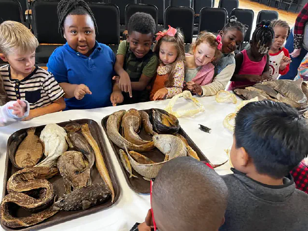 Students inspecting marine specimens on a table