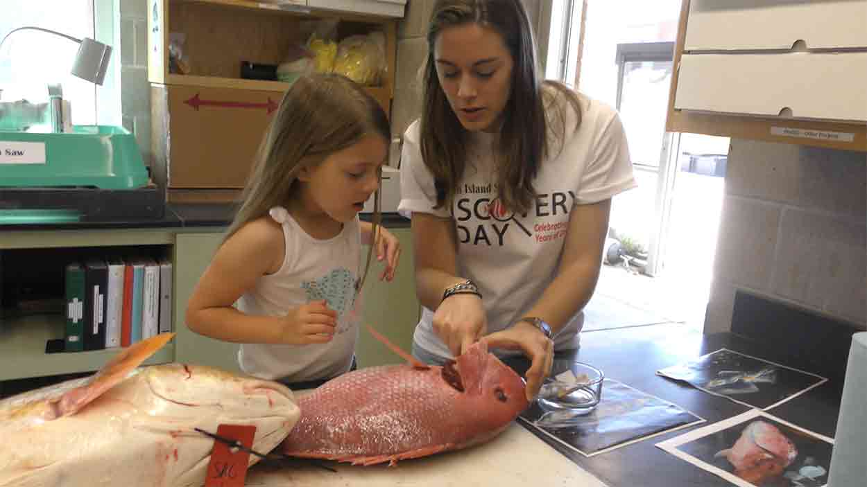 Young girl learns about fish ear bones during Discovery Day in 2017.