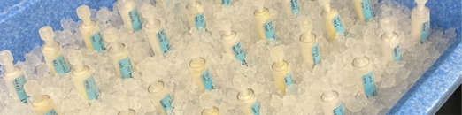 Sammy Harding wins OAR Award